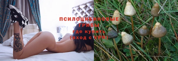 мет Алексин