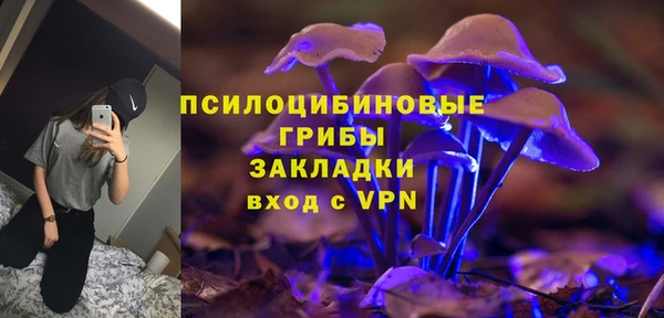 дурь Арсеньев