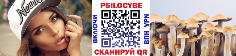 Псилоцибиновые грибы Magic Shrooms  купить наркоту  MEGA зеркало  Кукмор 